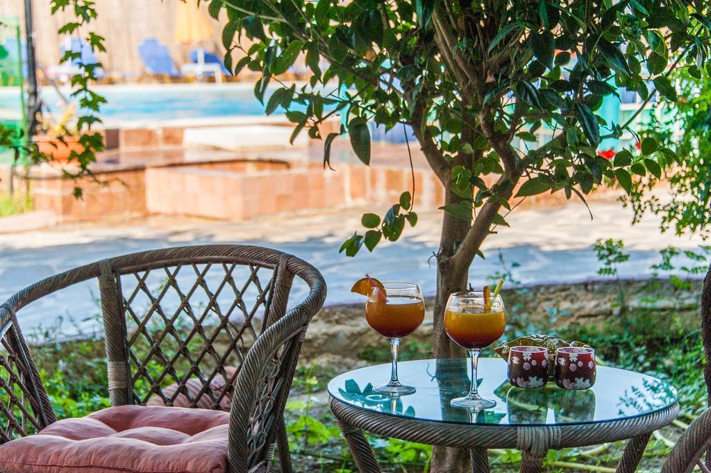 Zante Nest Studios & Apartments Alikanász Kültér fotó