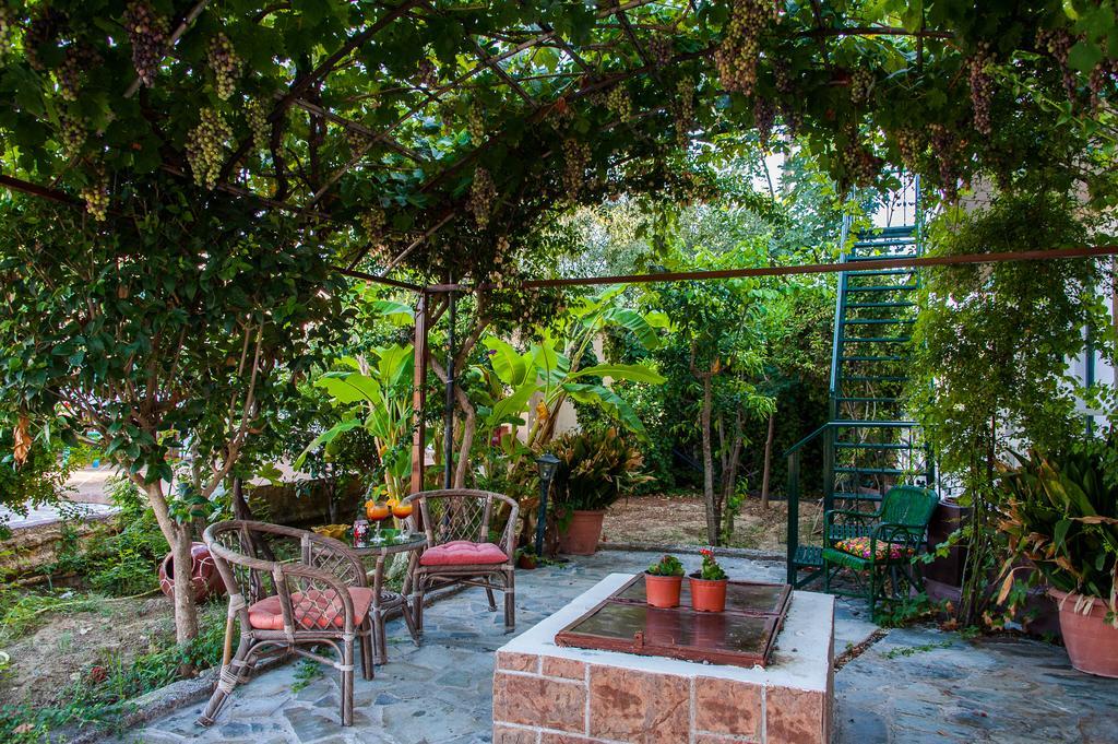 Zante Nest Studios & Apartments Alikanász Kültér fotó