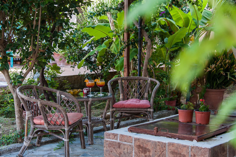 Zante Nest Studios & Apartments Alikanász Kültér fotó